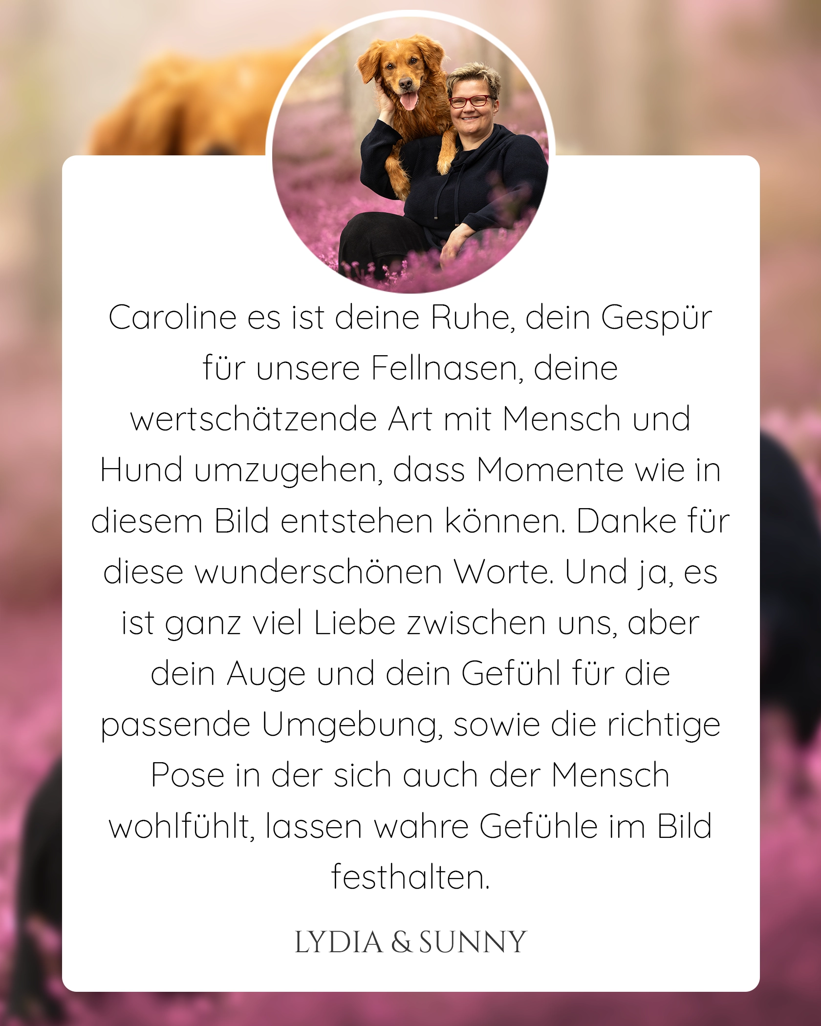 Pferdefotografie