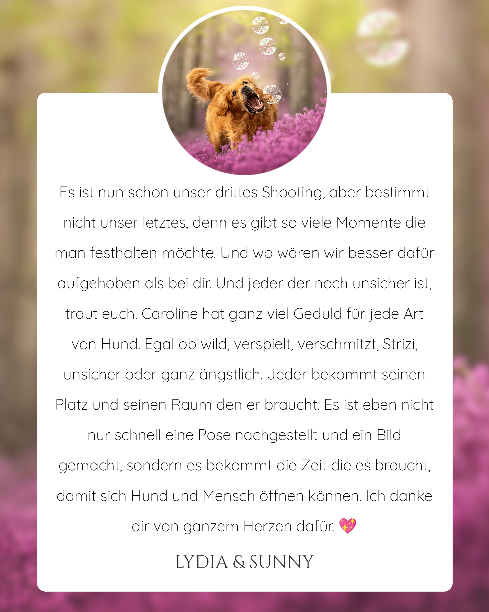 Pferdefotografie