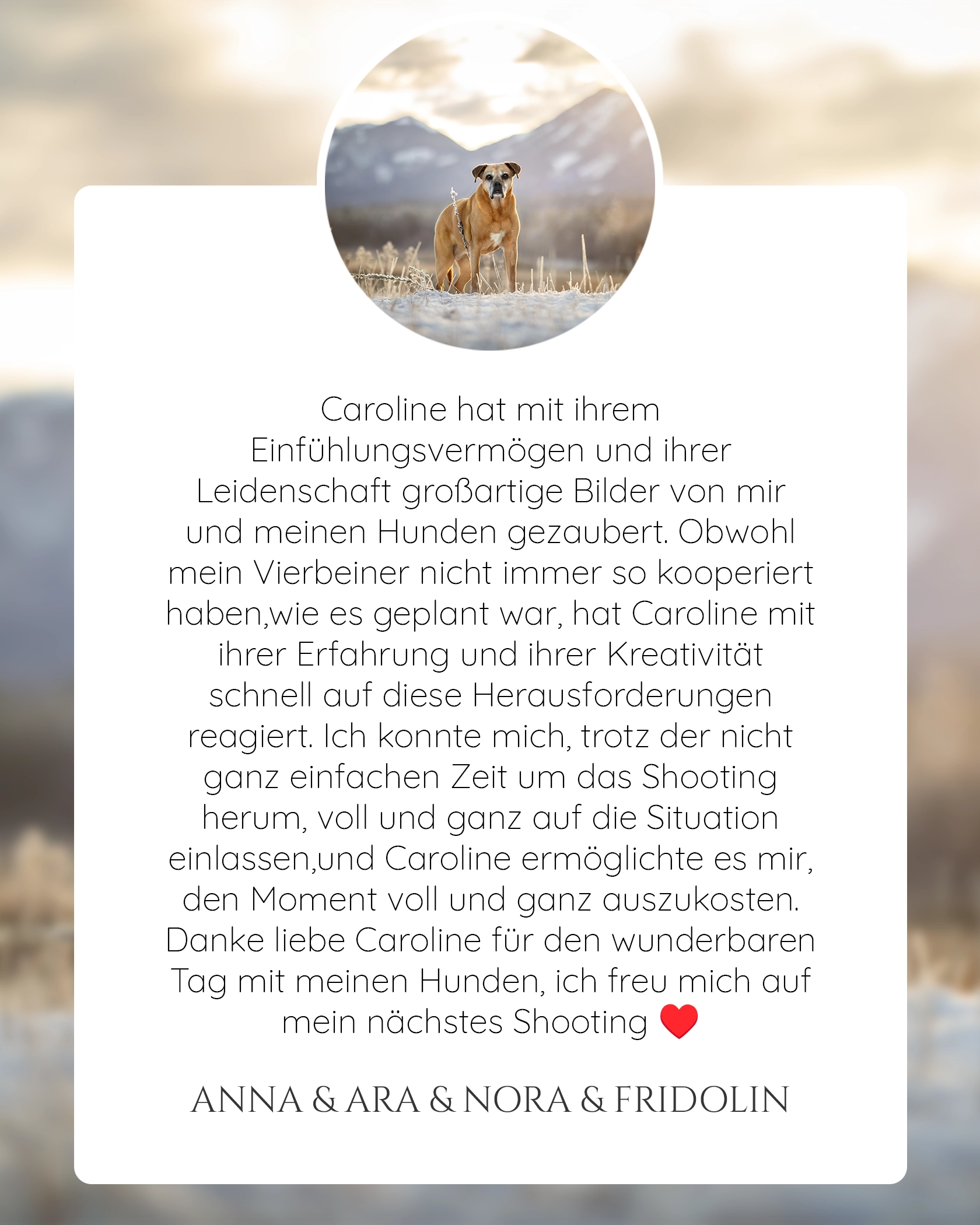 Pferdefotografie