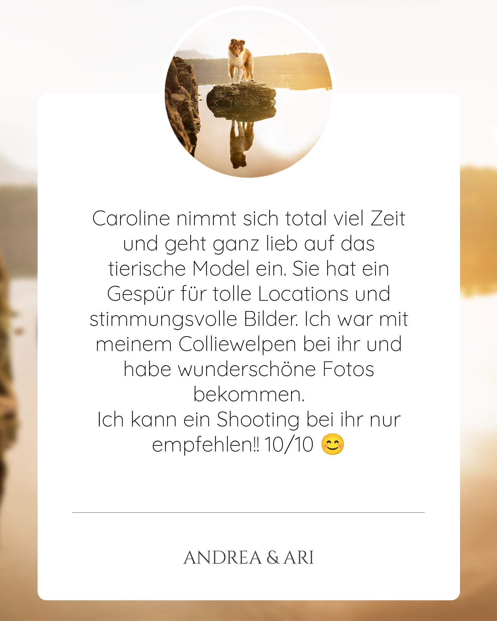 Pferdefotografie