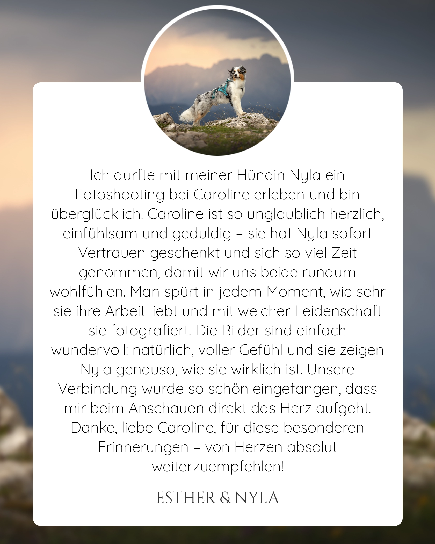 Bergshooting Hund