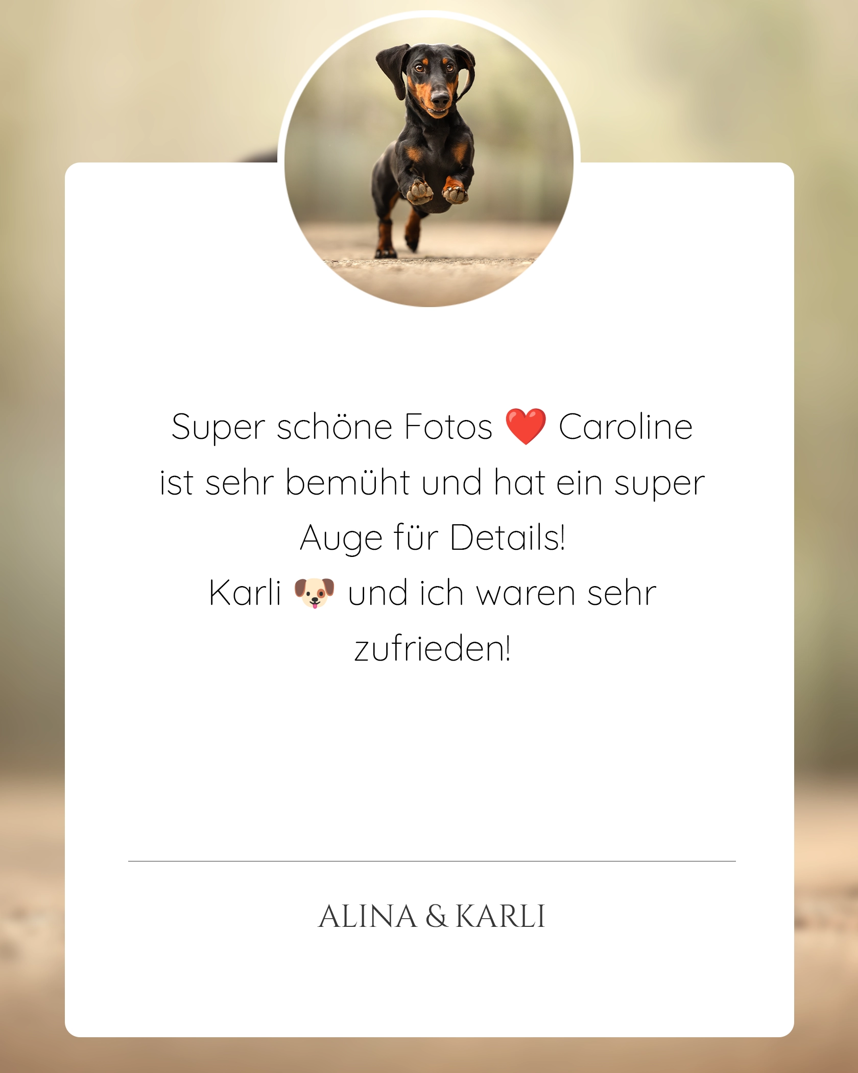 Pferdefotografie