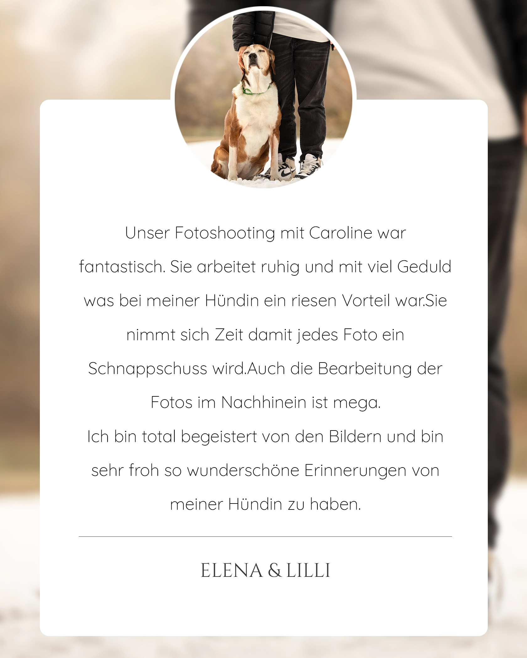 Pferdefotografie