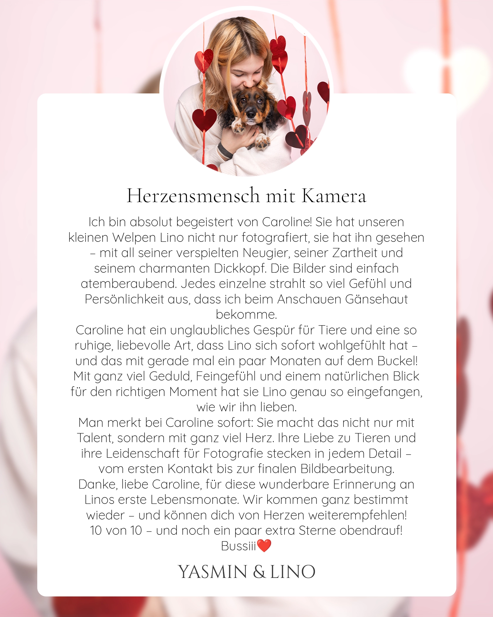 Pferdefotografie