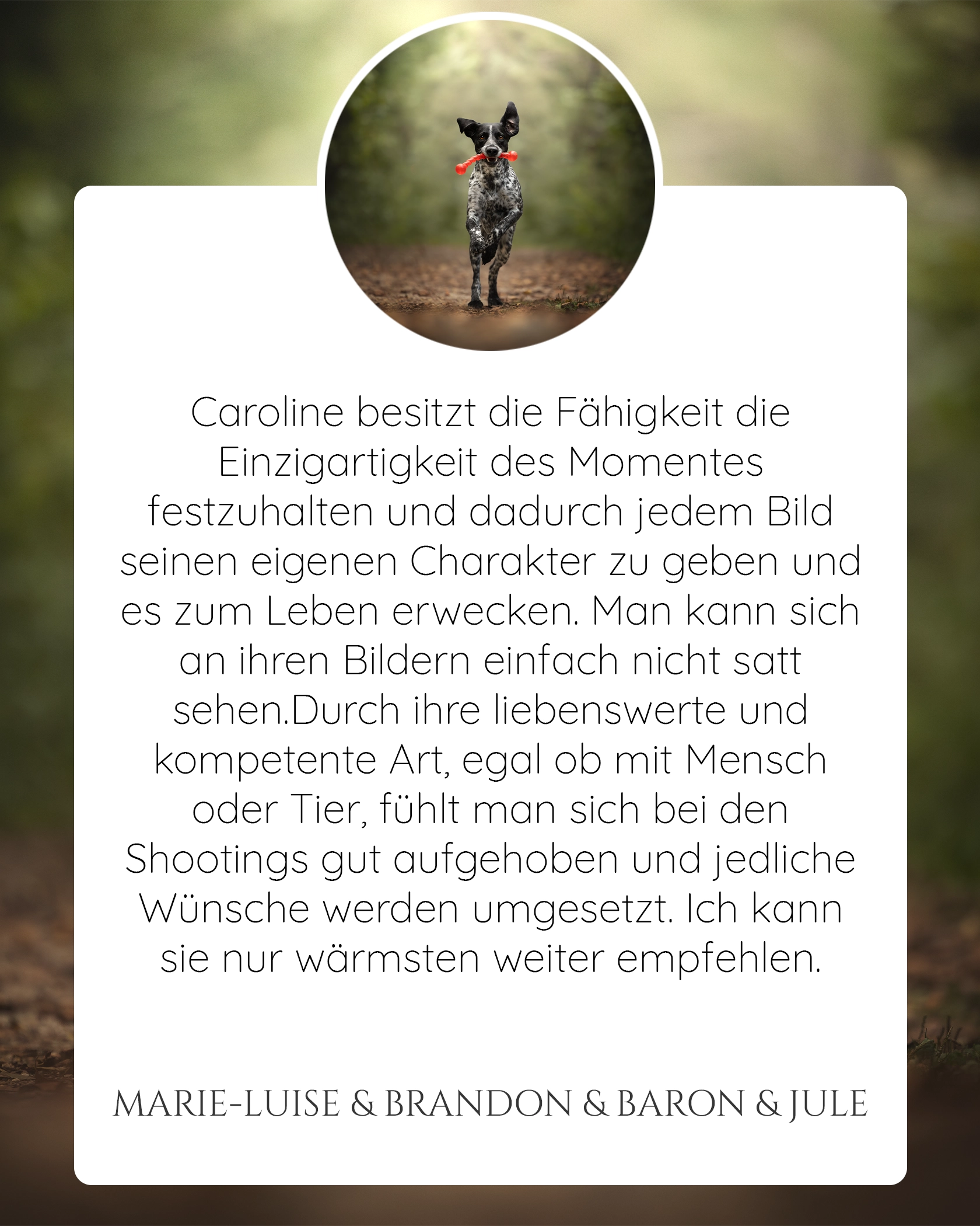 Pferdefotografie
