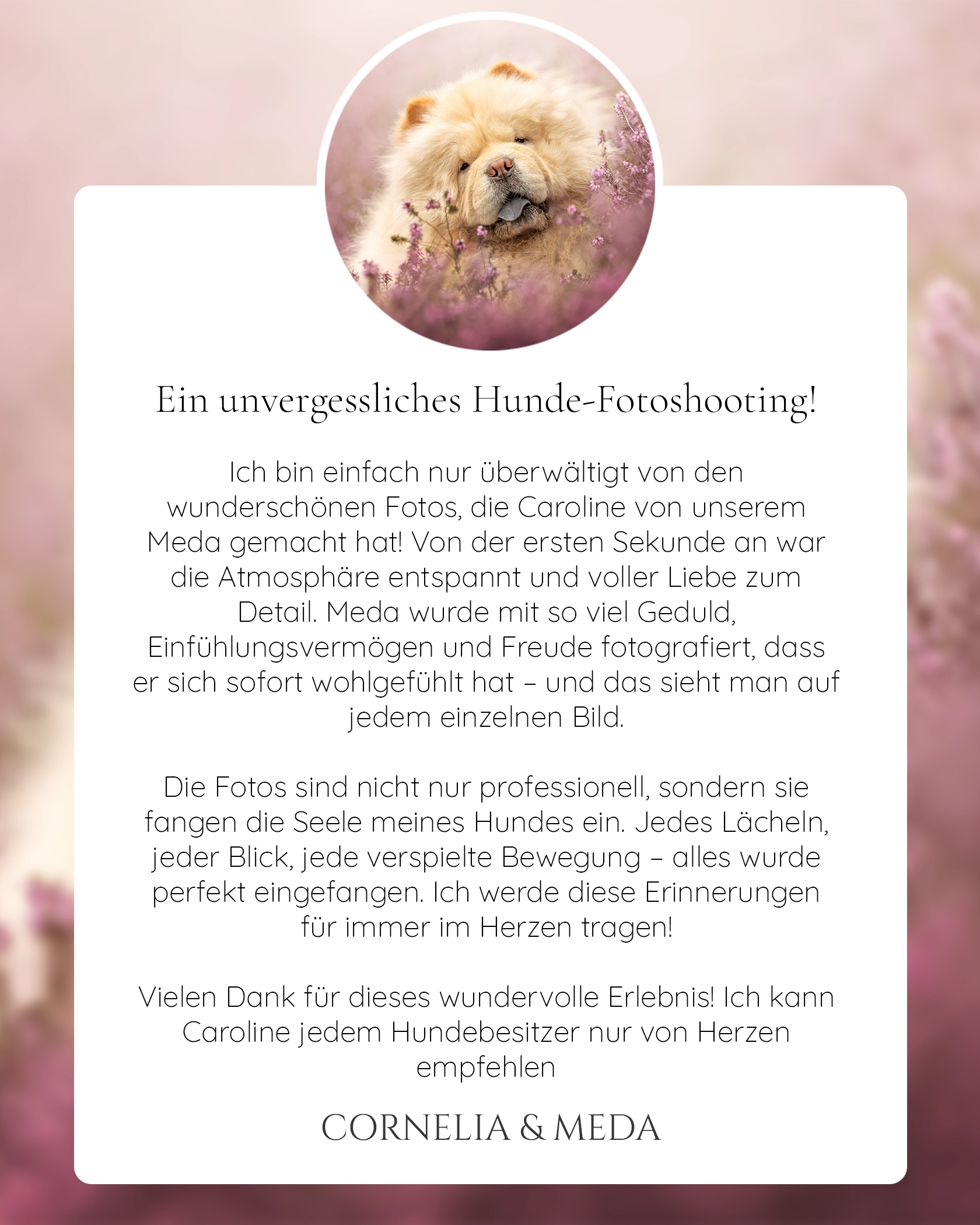Pferdefotografie