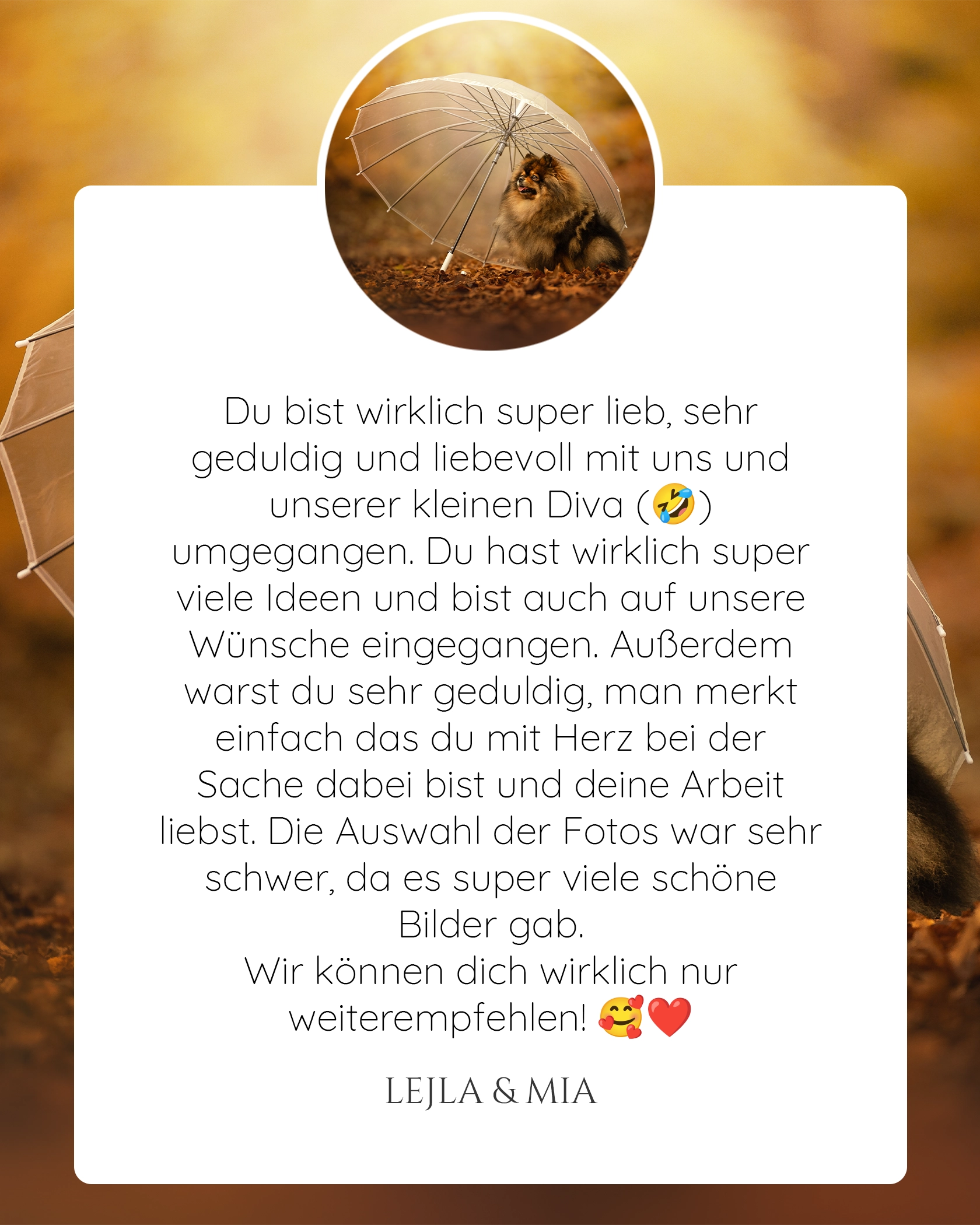 Pferdefotografie