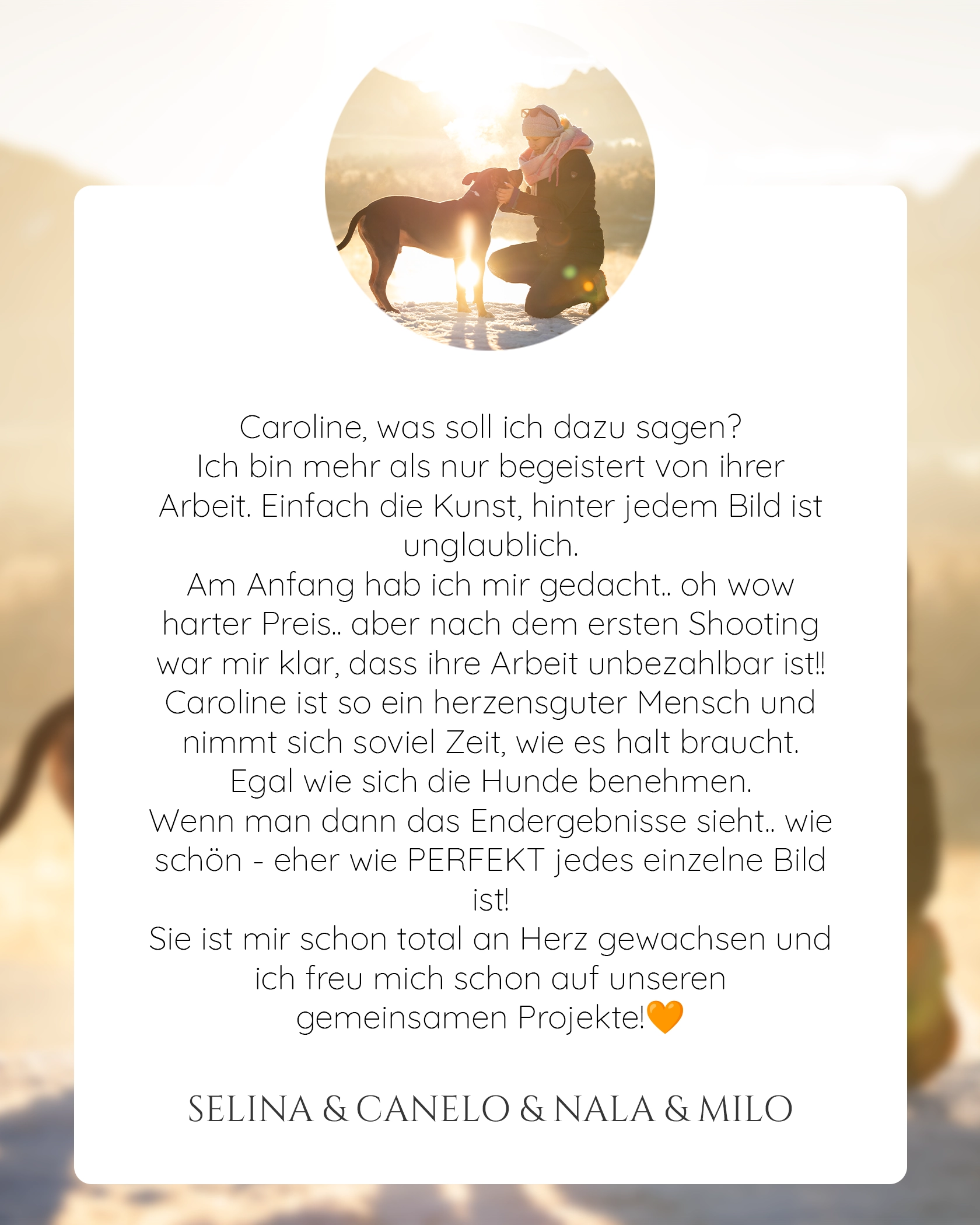 Pferdefotografie