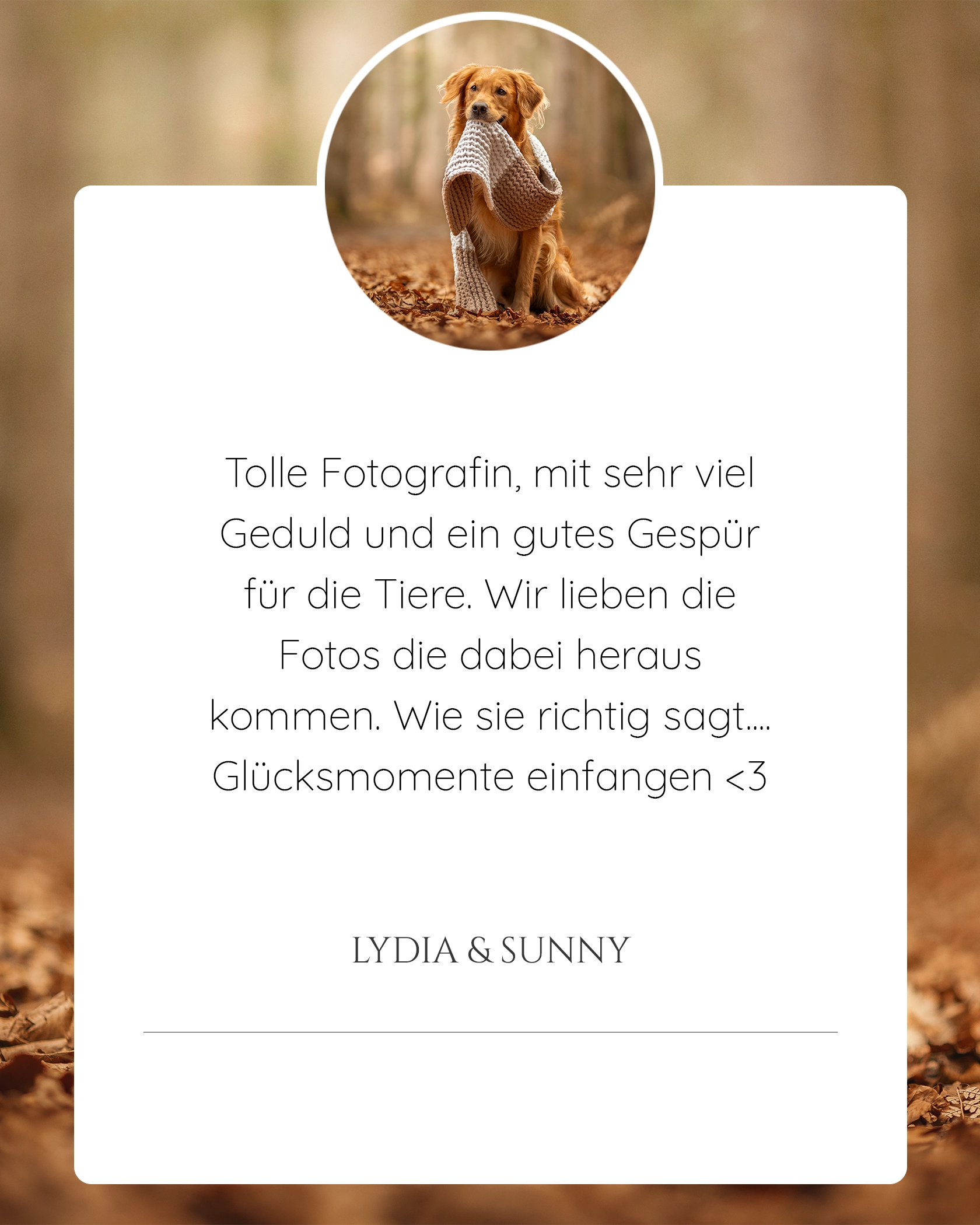 Pferdefotografie