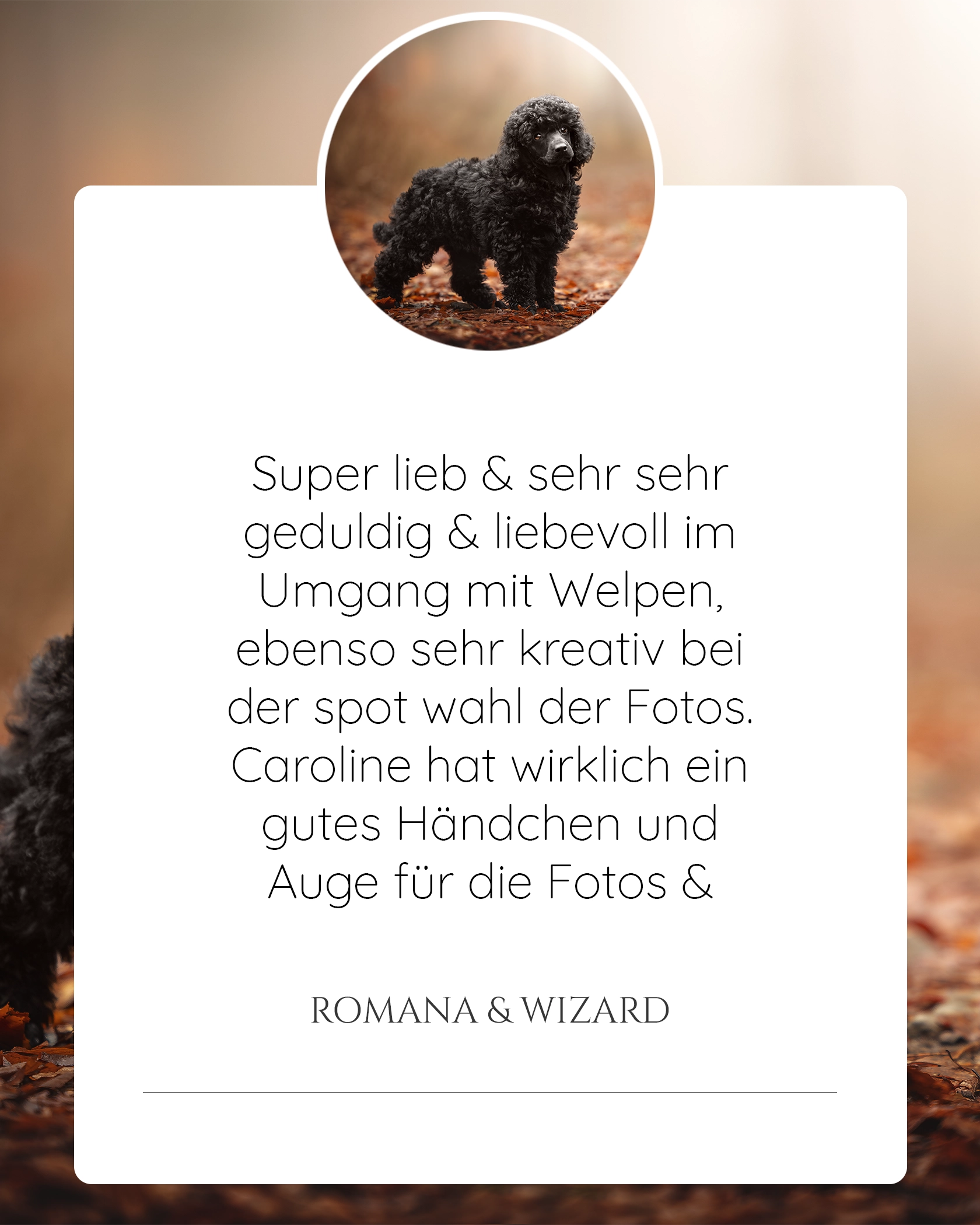 Pferdefotografie
